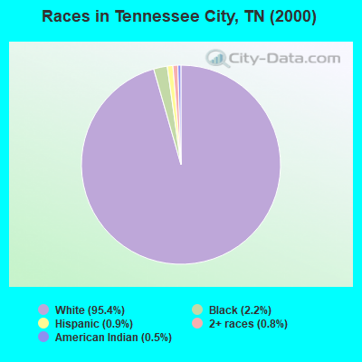 Races in Tennessee City, TN (2000)