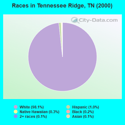 Races in Tennessee Ridge, TN (2000)