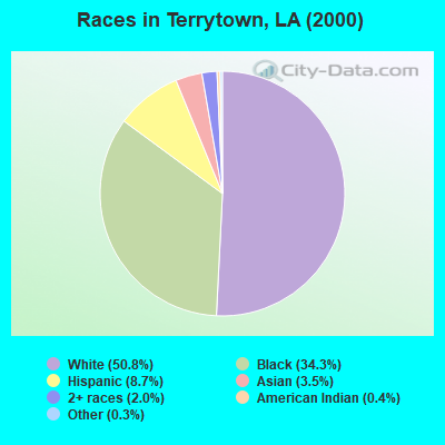 Races in Terrytown, LA (2000)