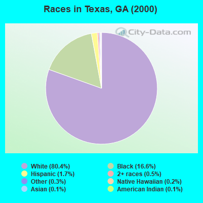 Races in Texas, GA (2000)