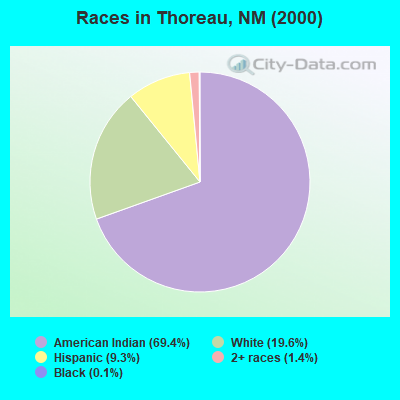 Races in Thoreau, NM (2000)