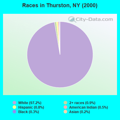 Races in Thurston, NY (2000)