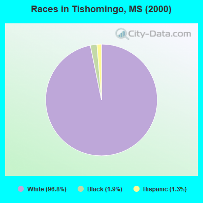 Races in Tishomingo, MS (2000)