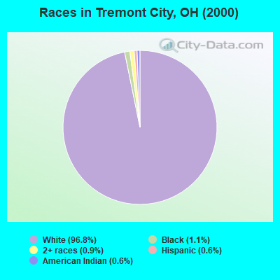 Races in Tremont City, OH (2000)