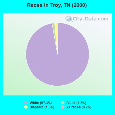 Races in Troy, TN (2000)