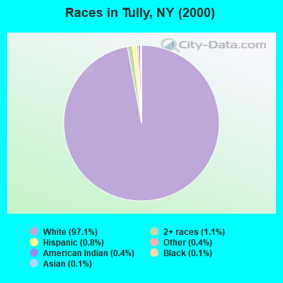 Races in Tully, NY (2000)
