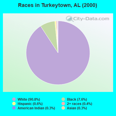 Races in Turkeytown, AL (2000)