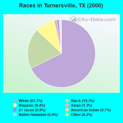 Races in Turnersville, TX (2000)