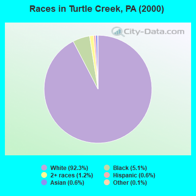 Races in Turtle Creek, PA (2000)