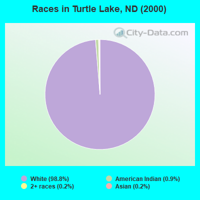 Races in Turtle Lake, ND (2000)