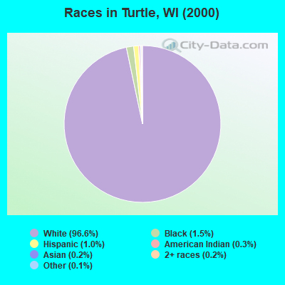 Races in Turtle, WI (2000)