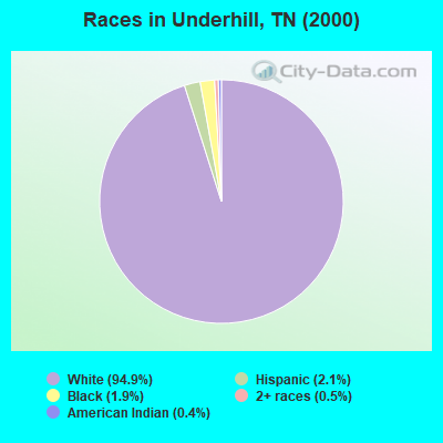 Races in Underhill, TN (2000)