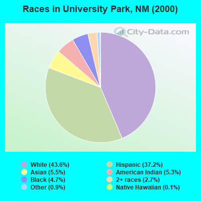 Races in University Park, NM (2000)