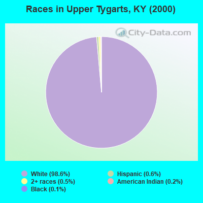 Races in Upper Tygarts, KY (2000)
