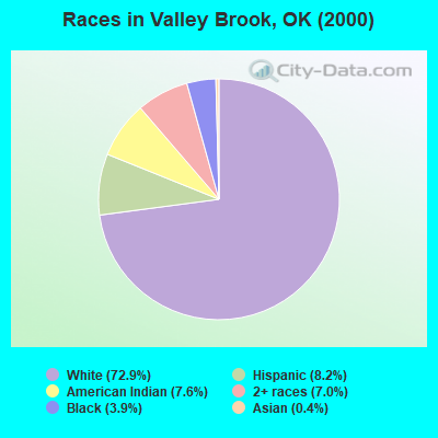 Races in Valley Brook, OK (2000)