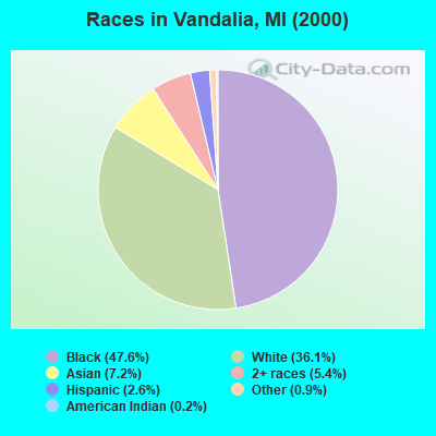 Races in Vandalia, MI (2000)
