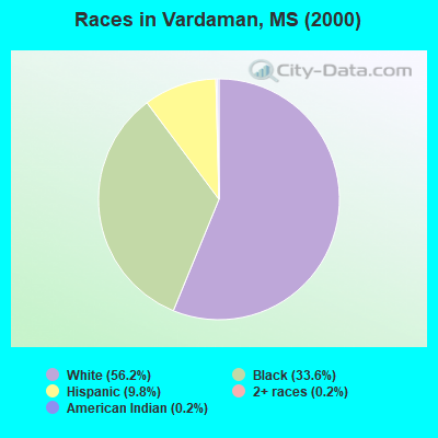 Races in Vardaman, MS (2000)