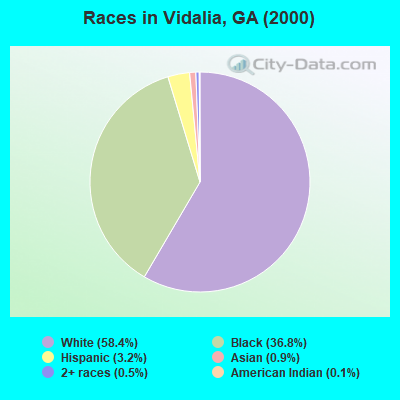 Races in Vidalia, GA (2000)