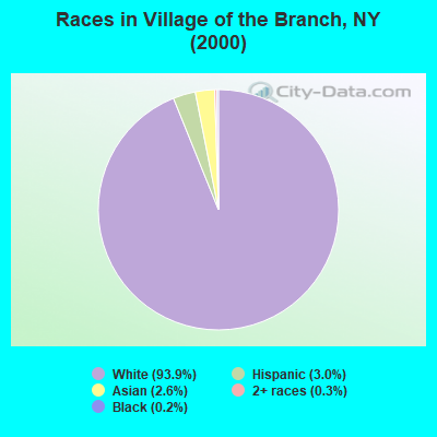 Races in Village of the Branch, NY (2000)