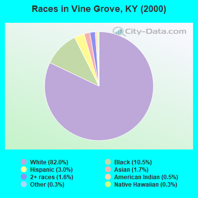 Races in Vine Grove, KY (2000)