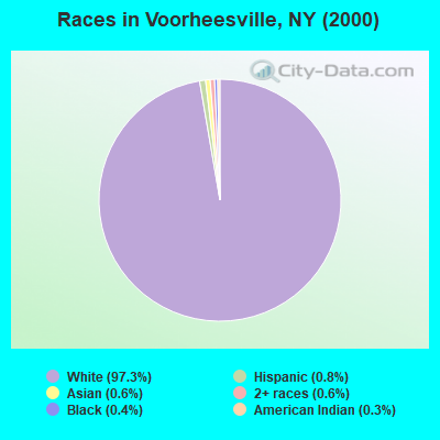 Races in Voorheesville, NY (2000)