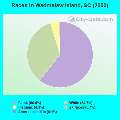 Races in Wadmalaw Island, SC (2000)