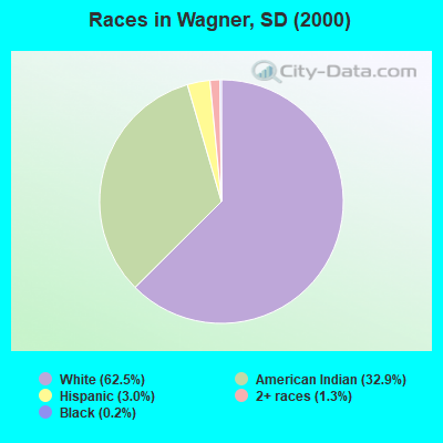 Races in Wagner, SD (2000)