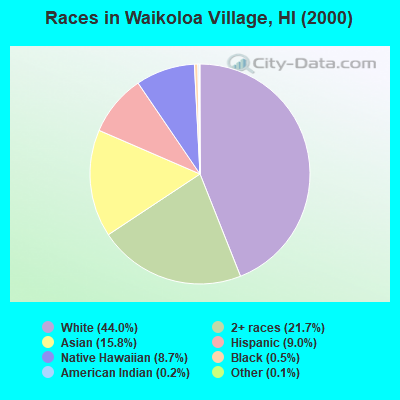 Races in Waikoloa Village, HI (2000)