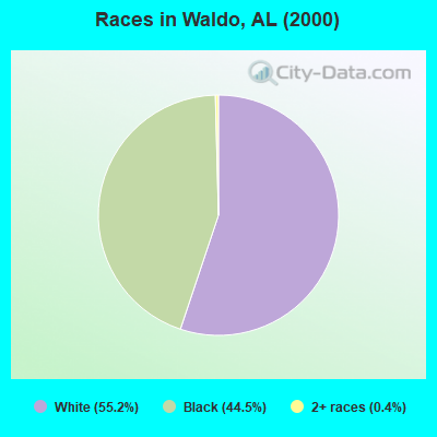 Races in Waldo, AL (2000)