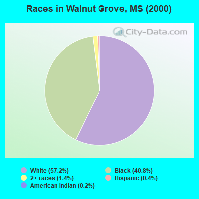 Races in Walnut Grove, MS (2000)