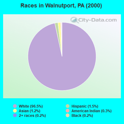 Races in Walnutport, PA (2000)