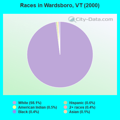 Races in Wardsboro, VT (2000)