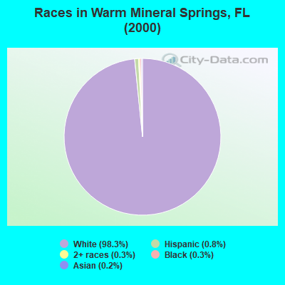 Races in Warm Mineral Springs, FL (2000)