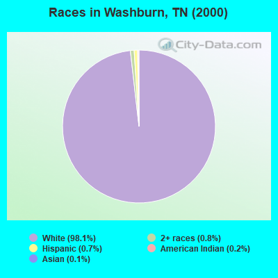Races in Washburn, TN (2000)