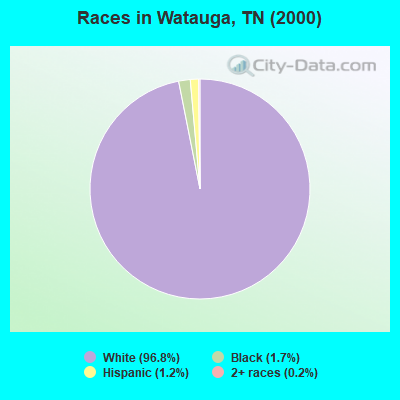 Races in Watauga, TN (2000)