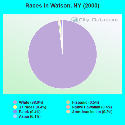 Races in Watson, NY (2000)