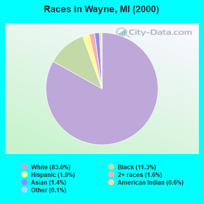 Races in Wayne, MI (2000)
