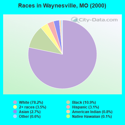Races in Waynesville, MO (2000)