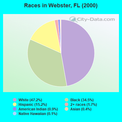 Races in Webster, FL (2000)