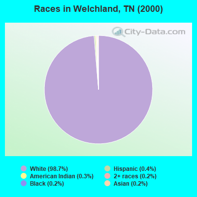 Races in Welchland, TN (2000)