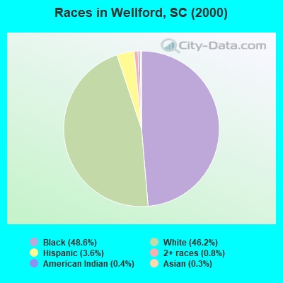 Races in Wellford, SC (2000)