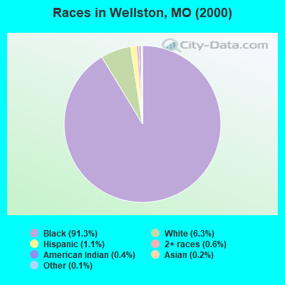 Races in Wellston, MO (2000)
