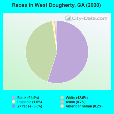 Races in West Dougherty, GA (2000)