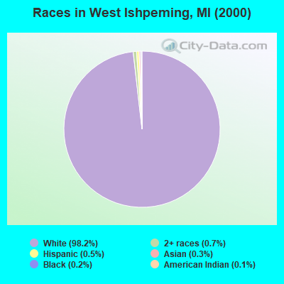 Races in West Ishpeming, MI (2000)