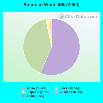 Races in West, MS (2000)