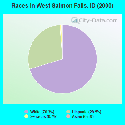 Races in West Salmon Falls, ID (2000)