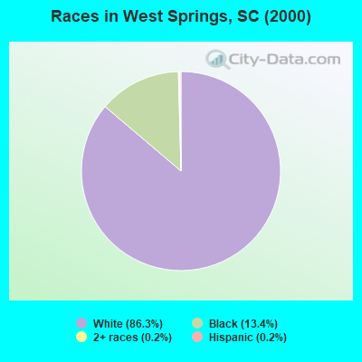 Races in West Springs, SC (2000)