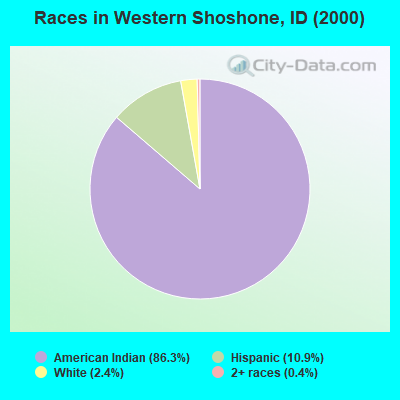 Races in Western Shoshone, ID (2000)