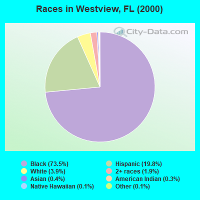 Races in Westview, FL (2000)