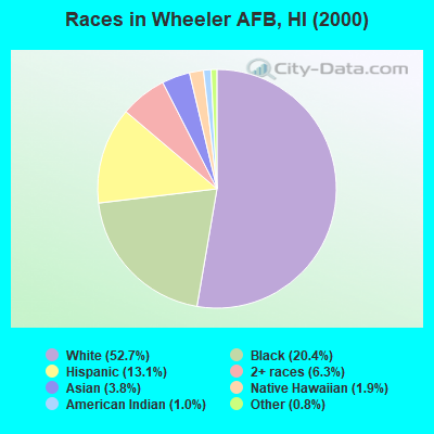 Races in Wheeler AFB, HI (2000)